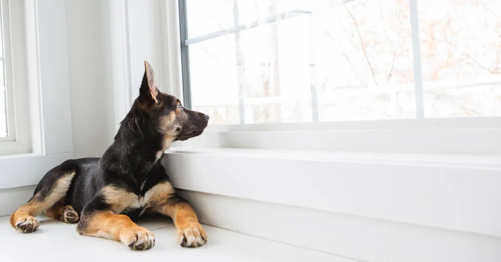 Remote professional balancing work and travel lifestyle