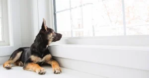 Remote professional balancing work and travel lifestyle